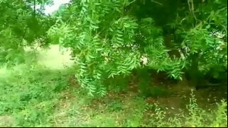 Indian Dehati Farming girl Having Sex In Jungle Video